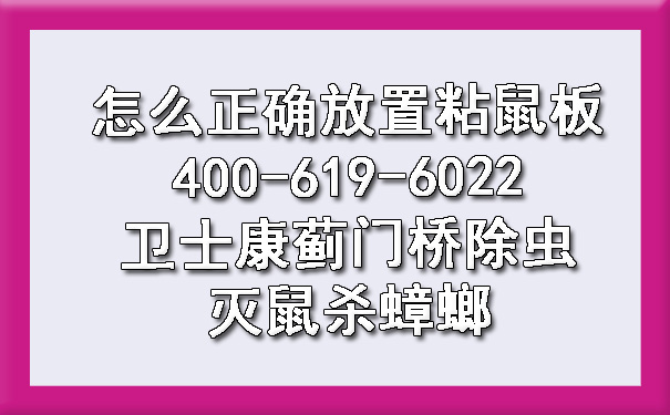 怎么准确安排粘鼠板400-619-6022欧博游戏蓟门桥除虫灭鼠杀蟑螂