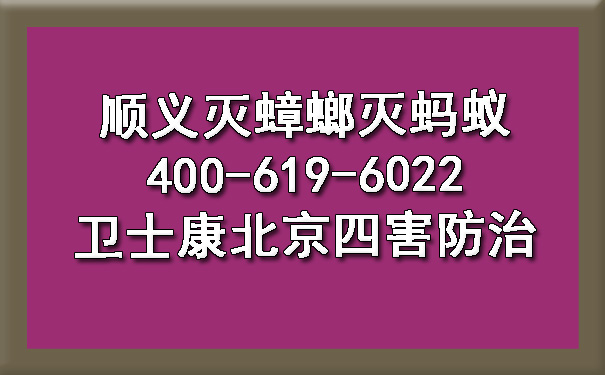 顺义灭蟑螂灭蚂蚁400-619-6022欧博游戏北京四害防治